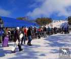 布勒山（Mount Buller）
