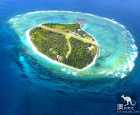 Lady Elliot Island