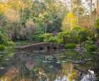 坦伯林山植物园（Tamborine Mountain Botanic Gardens）