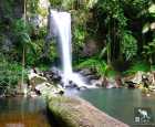 柯蒂斯瀑布（Curtis Falls）