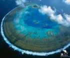 马斯格雷夫夫人岛（Lady Musgrave Island）
