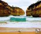 Loch Ard Gorge