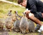 月光之旅野生动物保护园（Moonlit Sanctuary Wildlife Conservation Park）