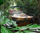热带雨林公园（Rainforestation Nature Park）