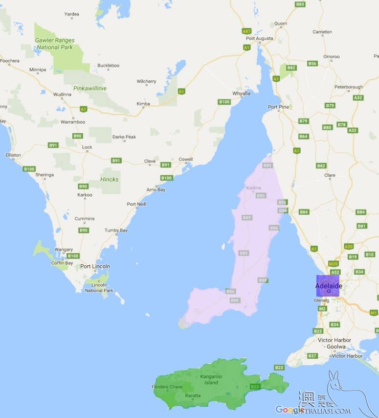 The old driver's self-driving strategy in south Australia's York peninsula