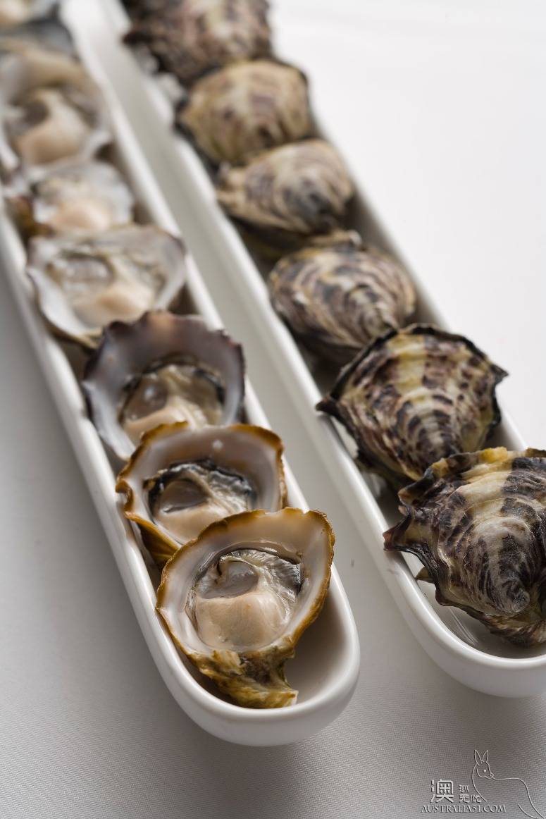 El Peninsula Seafood Encyclopedia