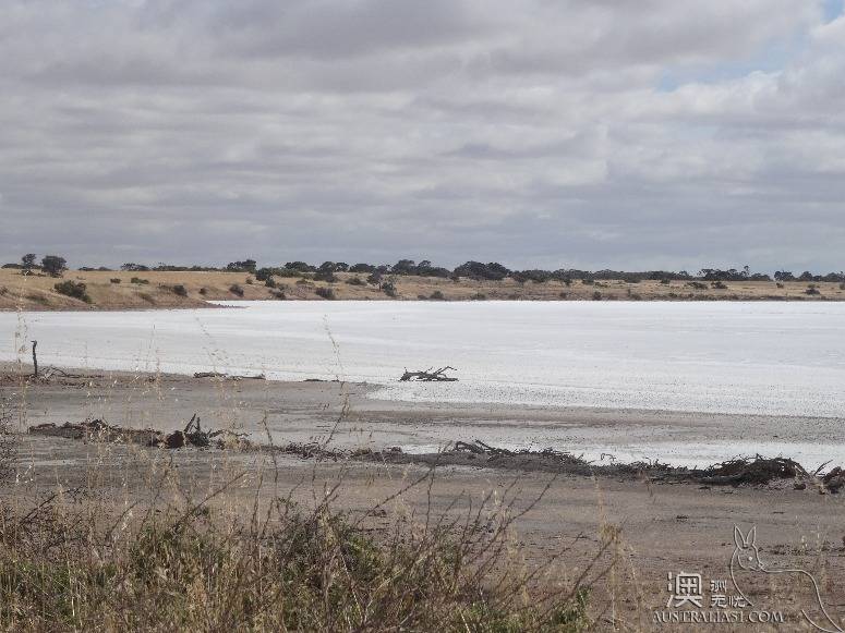 The old driver's self-driving strategy in south Australia's York peninsula
