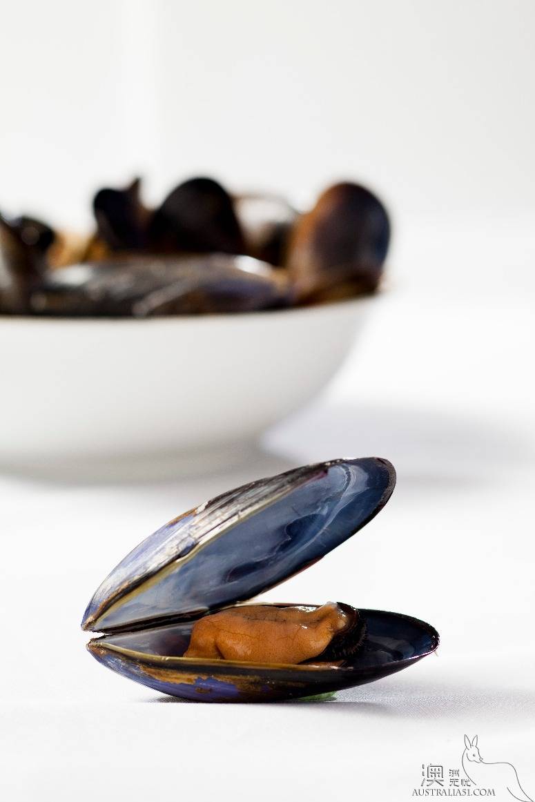 El Peninsula Seafood Encyclopedia
