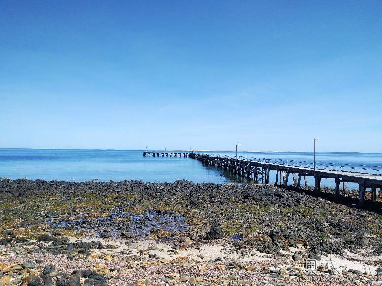 The old driver's self-driving strategy in south Australia's York peninsula