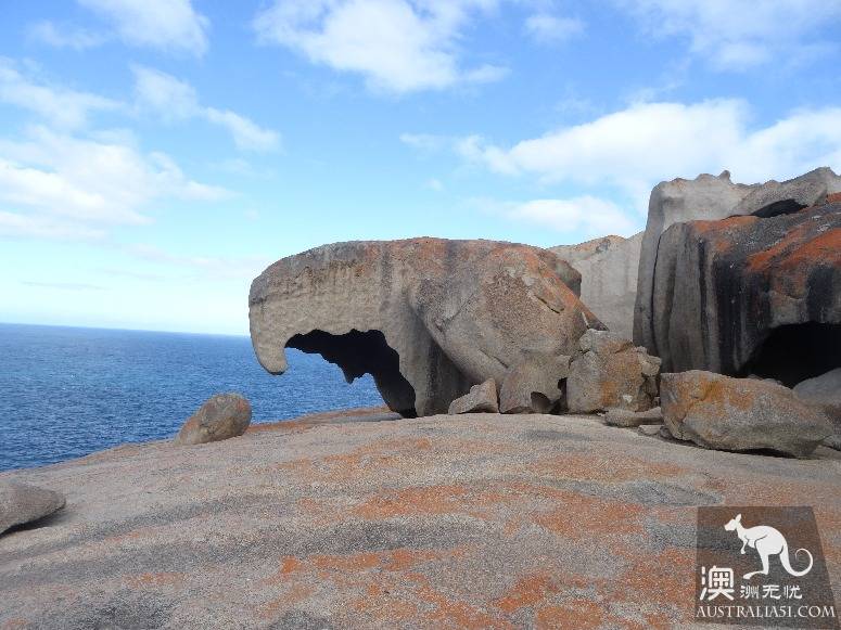 A self-driving strategy for old drivers on kangaroo island in south Australia
