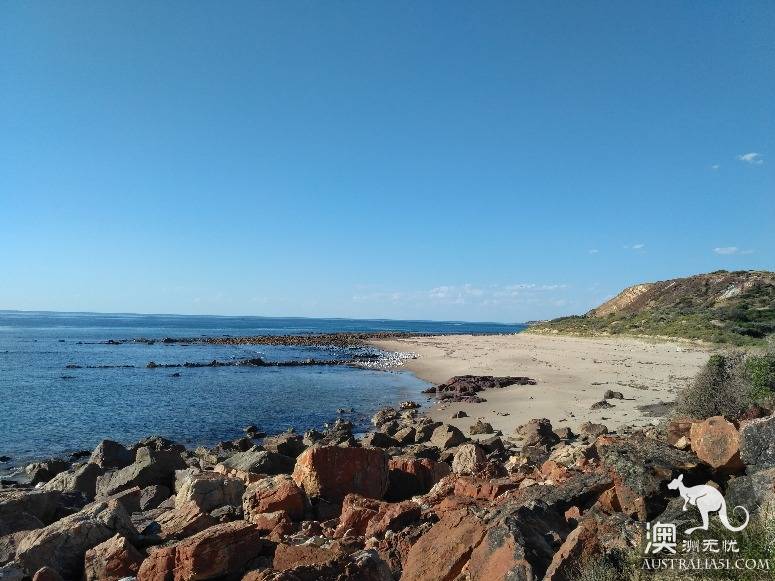 澳洲最早由官方认可的裸体海滩马塞林海滩（Maslin Beach）