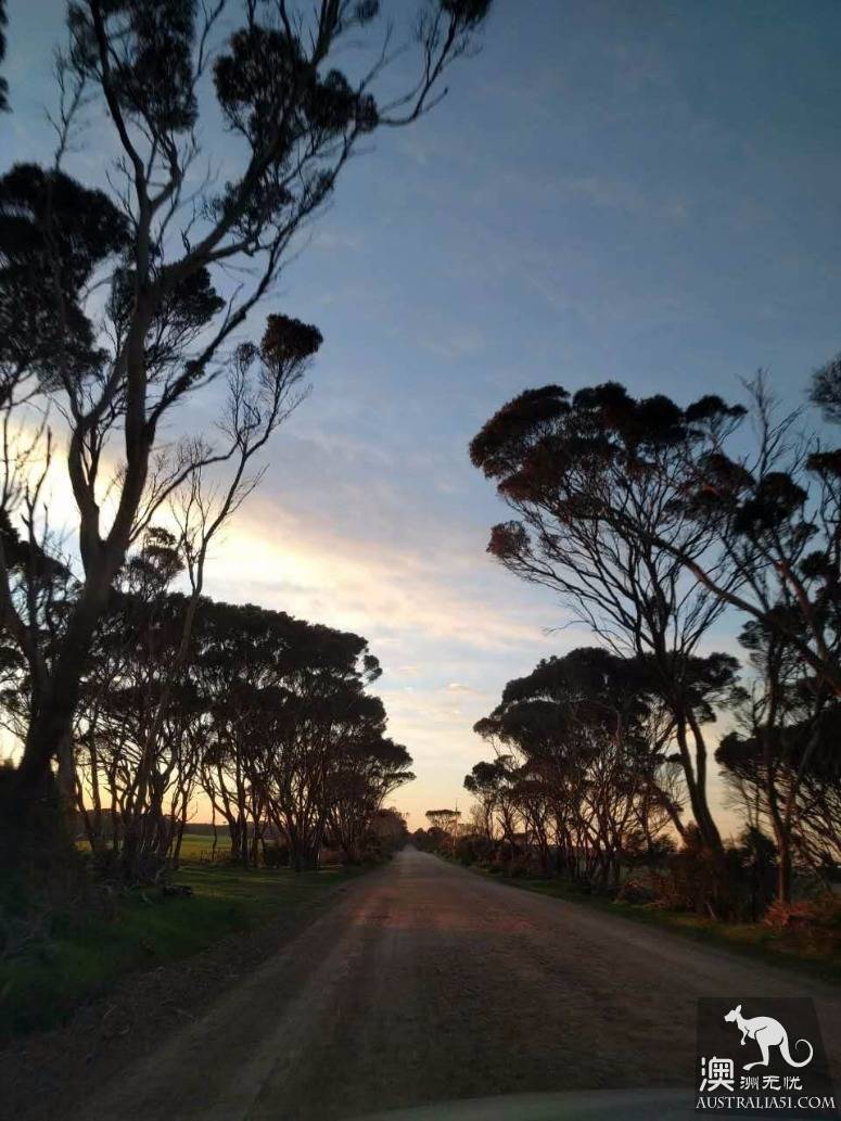 A self-driving strategy for old drivers on kangaroo island in south Australia