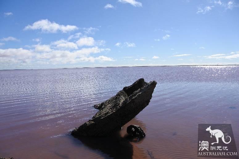 Giant sacrifice, veteran driver of Australia's self-driving strategy Mongo National Park, Lake Terrell