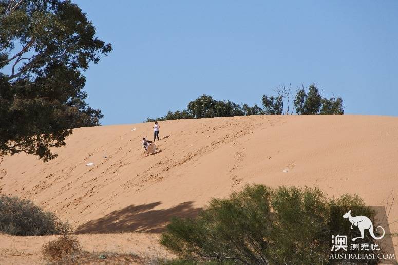 Giant sacrifice, veteran driver of Australia's self-driving strategy Mongo National Park, Lake Terrell
