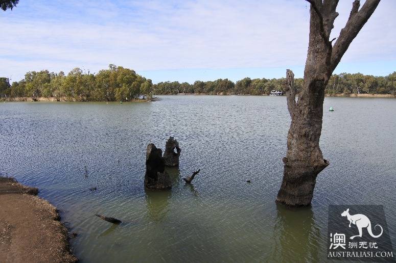 Giant sacrifice, veteran driver of Australia's self-driving strategy Mongo National Park, Lake Terrell