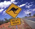 How does driving in Australia prevent hitting a kangaroo? Australian Self-driving Anti-Mouse Incomplete Manual