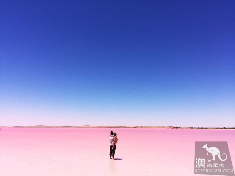 阿德莱德粉红湖（Bumbunga Lake）完全攻略，自驾跟团均适用