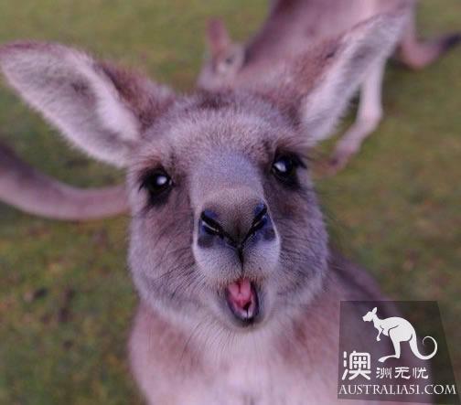 是这样的软萌妹子?