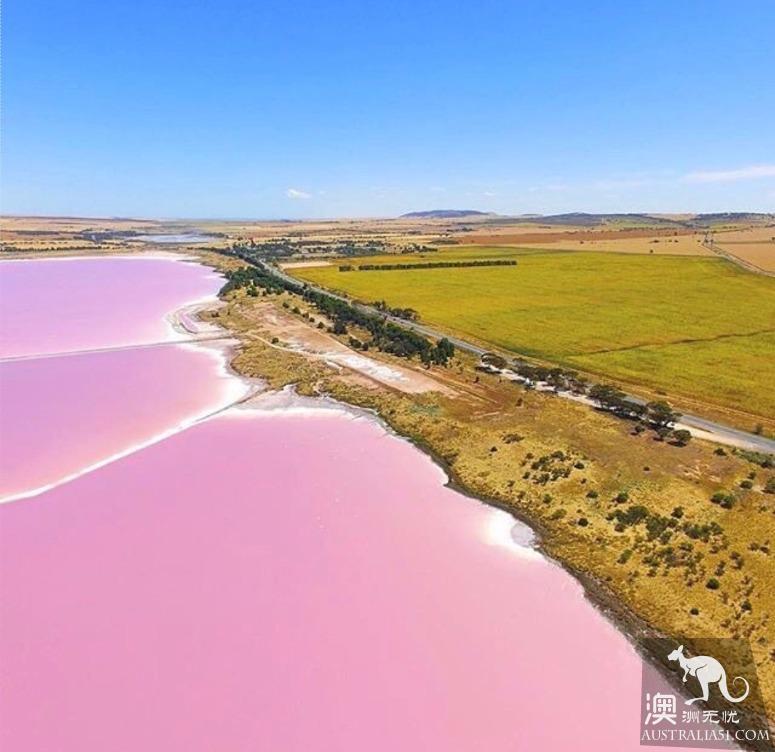 阿德莱德粉红湖（Bumbunga Lake）完全攻略，自驾跟团均适用