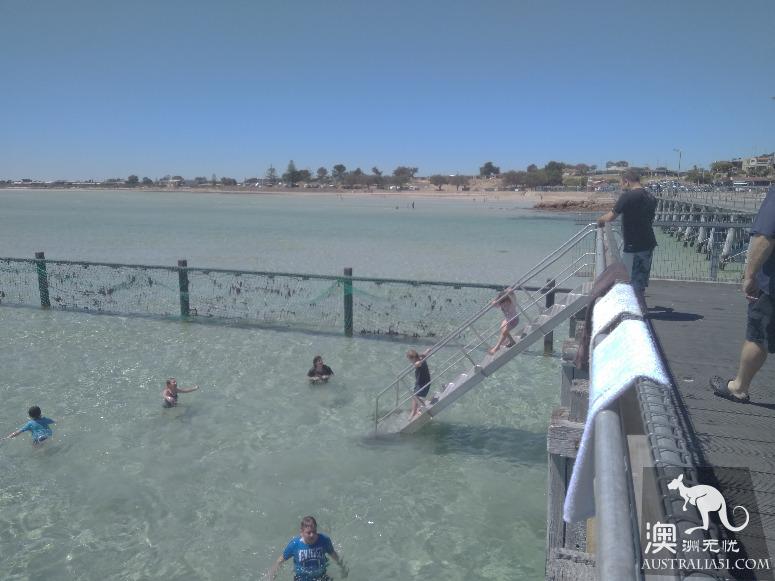 阿德莱德粉红湖（Bumbunga Lake）完全攻略，自驾跟团均适用