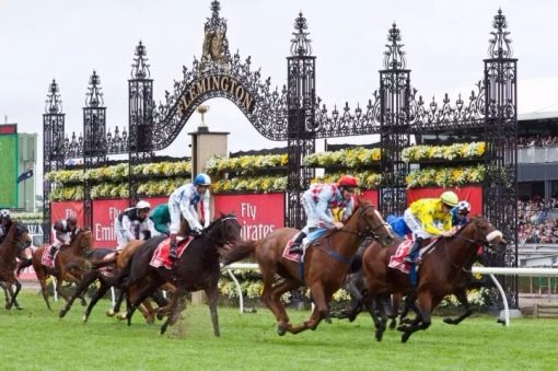 The 157th Murben Cup Carnival was staged, and the horse racing fashion feast was held.