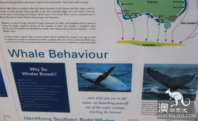 Sydney Botany Bay: Australia is found here