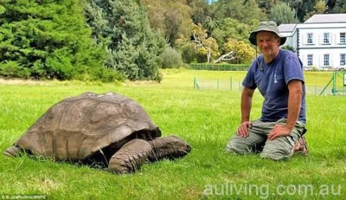 Searching for the oldest creature in the world