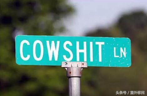 The name of the street is too embarrassing to cause house prices to fall! Regret the carelessness of buying a house