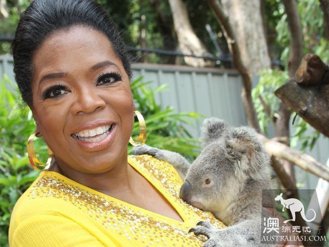 What is the experience of being hugged by koala? Where can I hug koala? Australia hold Cora full introduction