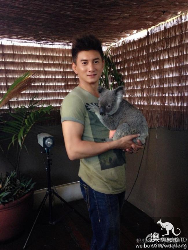 What is the experience of being hugged by koala? Where can I hug koala? Australia hold Cora full introduction