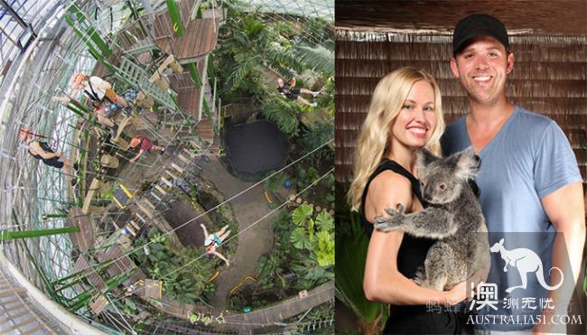 What is the experience of being hugged by koala? Where can I hug koala? Australia hold Cora full introduction