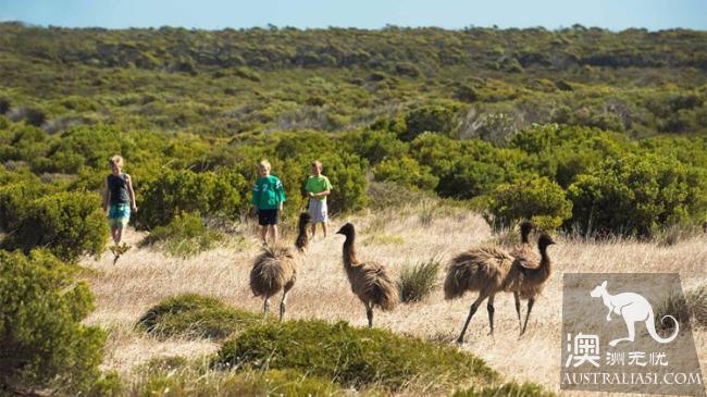 The rare Universal Pure Land in (Eyre Peninsula), El Peninsula
