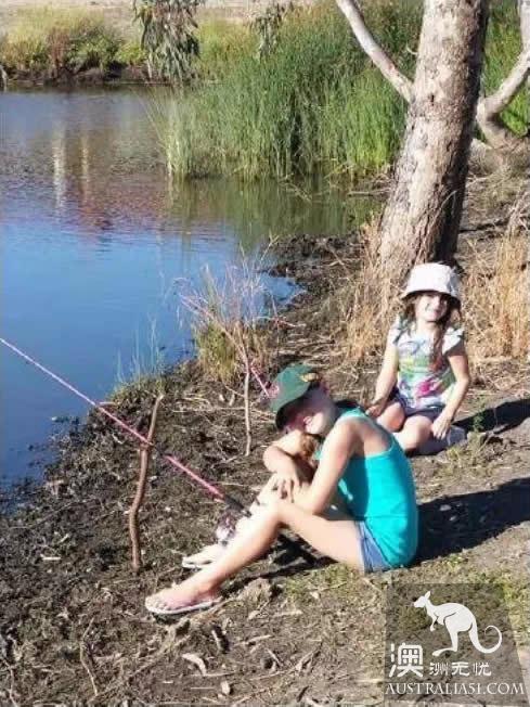Adelaide carp disaster, goverment encourages fishing!