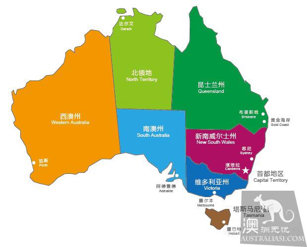 What is the experience of being hugged by koala? Where can I hug koala? Australia hold Cora full introduction