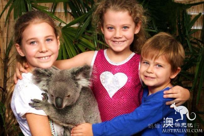 What is the experience of being hugged by koala? Where can I hug koala? Australia hold Cora full introduction