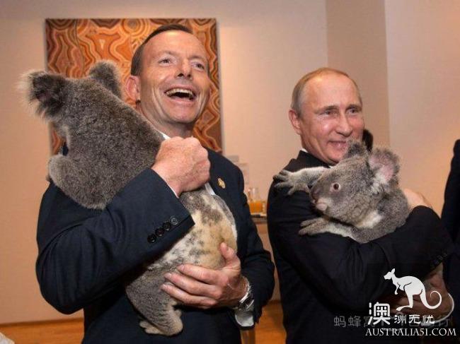 What is the experience of being hugged by koala? Where can I hug koala? Australia hold Cora full introduction