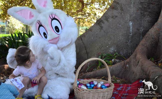 The annual Sydney Easter Show has come again, and the wonderful events have come to know first.