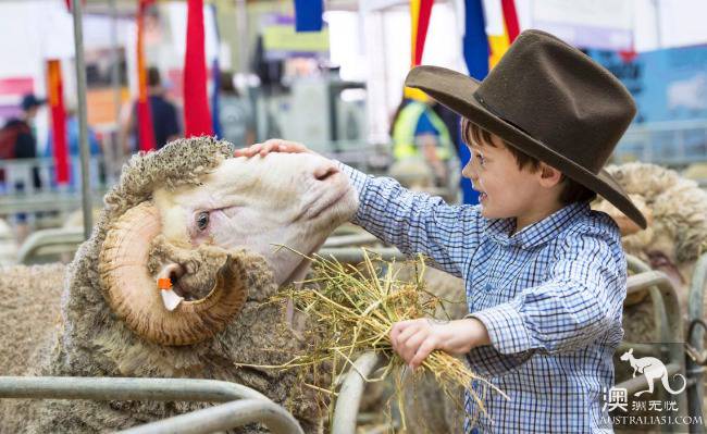 The annual Sydney Easter Show has come again, and the wonderful events have come to know first.
