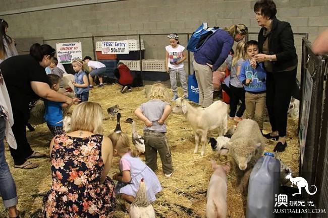 The annual Adelaide animal fair begins! Amazing! There are also South Australia's largest home life exhibition and food exchange!