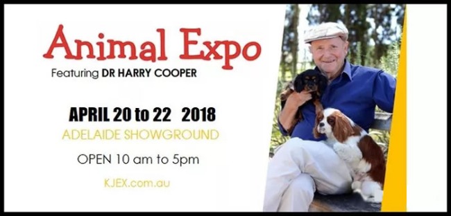 The annual Adelaide animal fair begins! Amazing! There are also South Australia's largest home life exhibition and food exchange!