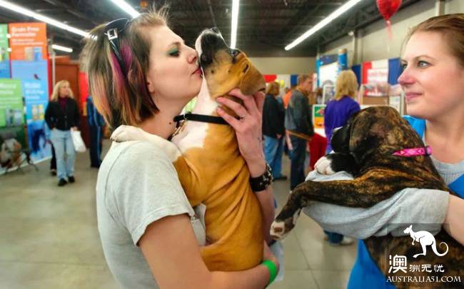 The annual Adelaide animal fair begins! Amazing! There are also South Australia's largest home life exhibition and food exchange!