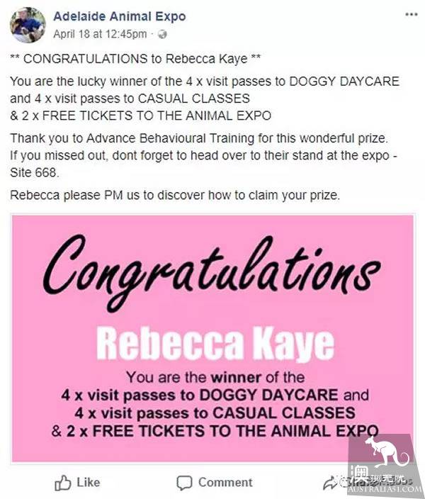 The annual Adelaide animal fair begins! Amazing! There are also South Australia's largest home life exhibition and food exchange!