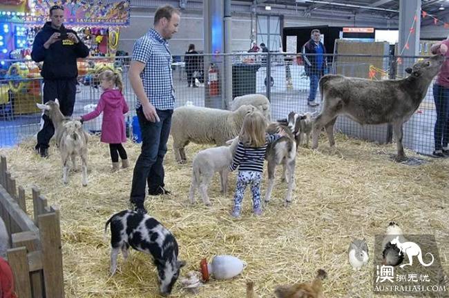 The annual Adelaide animal fair begins! Amazing! There are also South Australia's largest home life exhibition and food exchange!