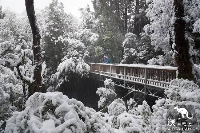 The most beautiful winter to the cradle mountain