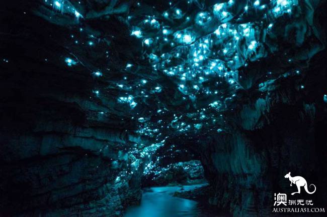 A trip to the Firefly Cave in Paronella Park