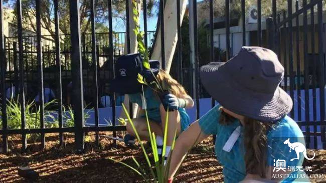 Two hundred and forty thousand can't afford to pay a student, the future Australian church school tuition may be a big increase!