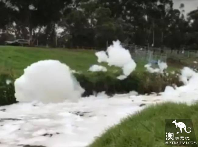 The brook floats a great deal of white foam for 5 kilometers