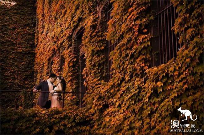 The maple leaves don't have to drive to the suburbs! Melbourne Southbank little known photography shrine!