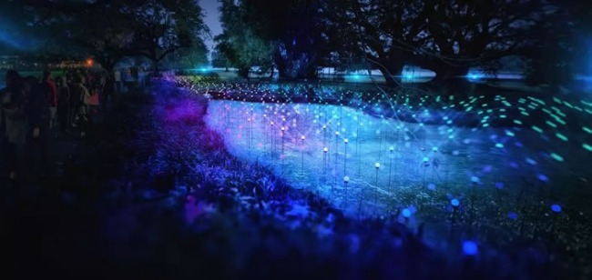 2018 colorful Sydney Lights Music Festival! The tenth anniversary of the highlight of the first look!