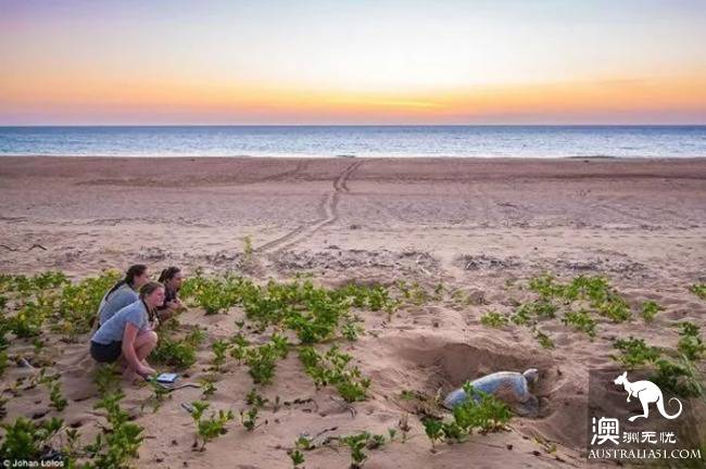 Australia's 9 most stunning minority islands, while there is no fire to hide!